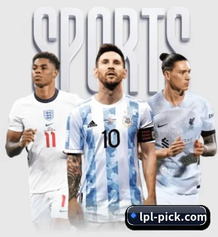 五大服务分区,信息按项目分类